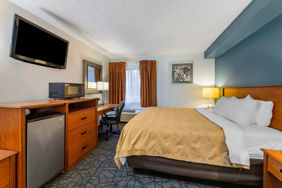Standard Room, 1 King Bed, Non Smoking | Desk, laptop workspace, blackout drapes, iron/ironing board