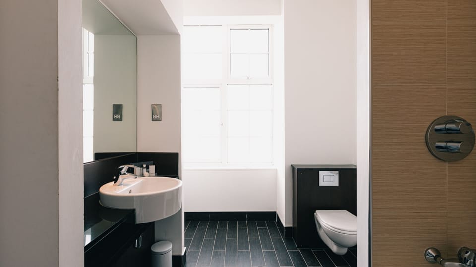 Combined shower/tub, free toiletries, hair dryer, towels