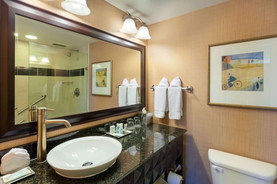 Shower, designer toiletries, hair dryer, towels