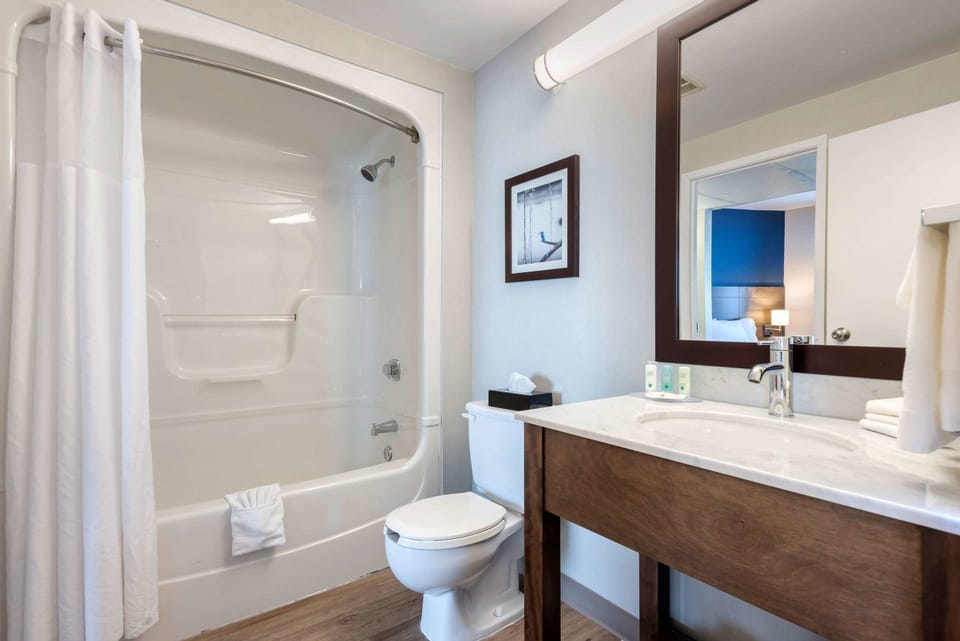 Combined shower/tub, free toiletries, hair dryer, towels