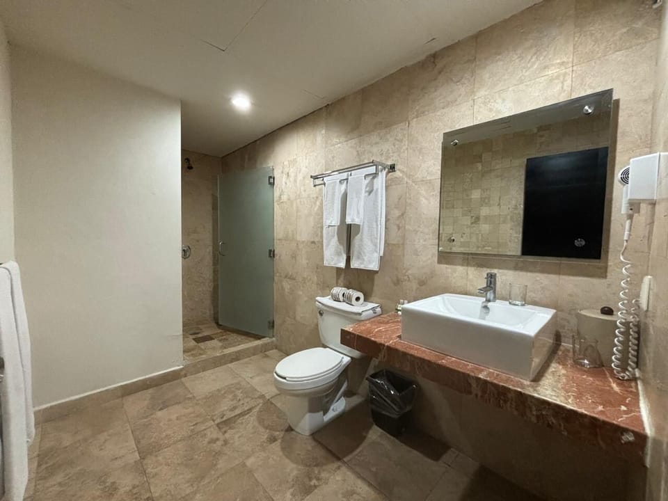 Family Room | Bathroom | Shower, free toiletries, hair dryer, towels