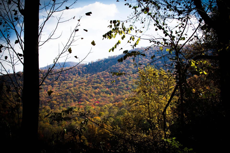 Late Fall View from Porch