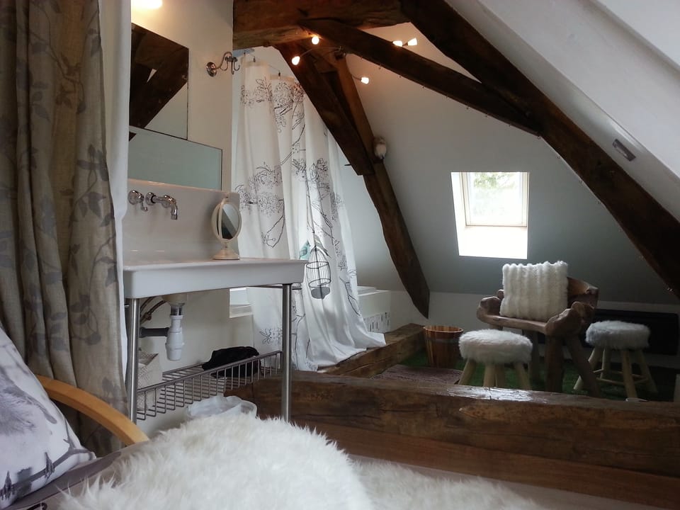 Superior Room | Bathroom | Shower, free toiletries, hair dryer, towels