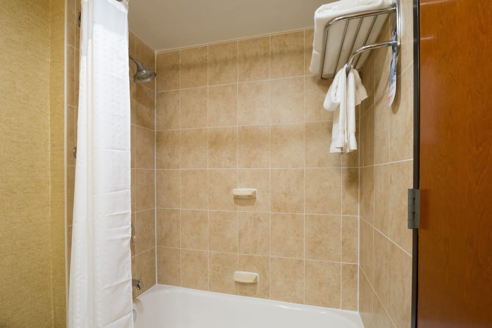 Shower, free toiletries, hair dryer, towels
