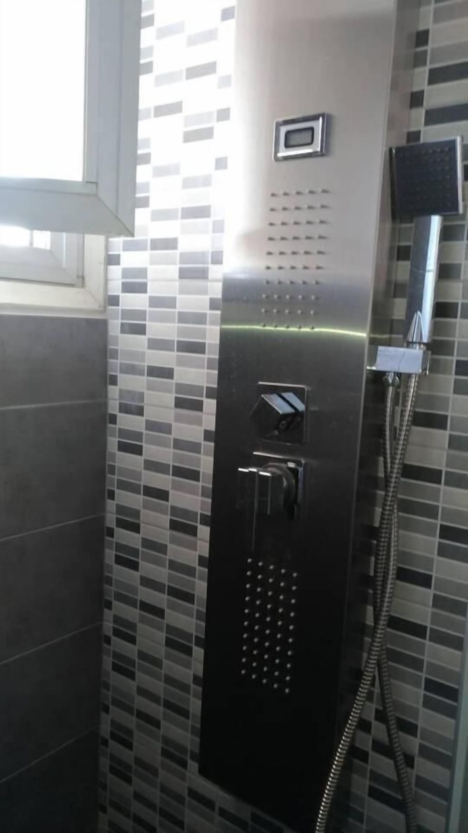 Separate tub and shower, jetted tub, hydromassage showerhead