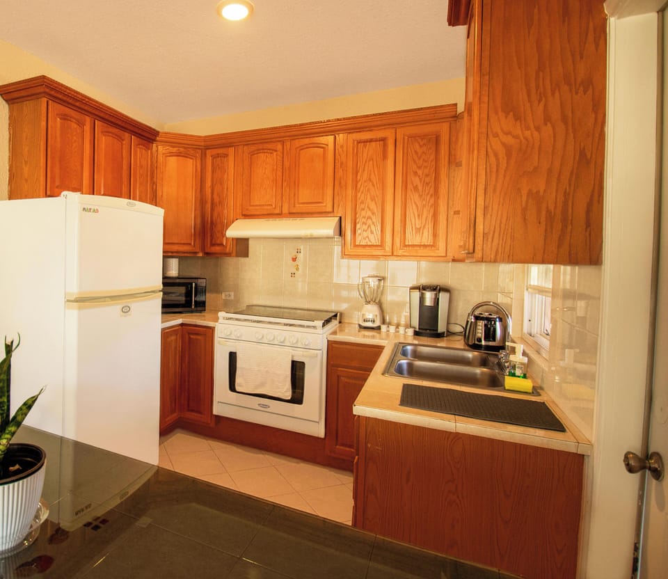 City Double Room, 2 Bedrooms, Non Smoking, City View | Private kitchen | Fridge, microwave, oven, stovetop