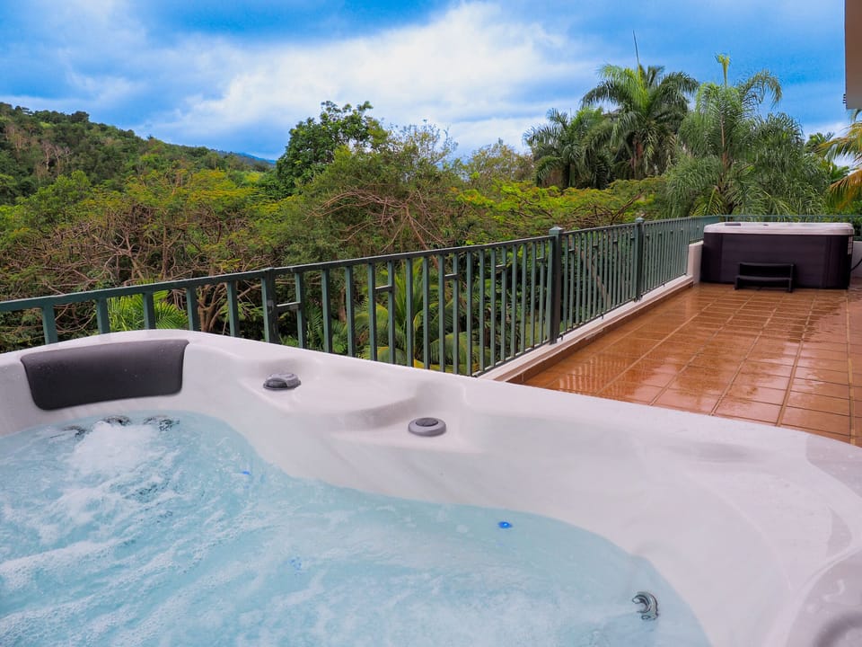 2 Jacuzzis with a view of the Rainforest