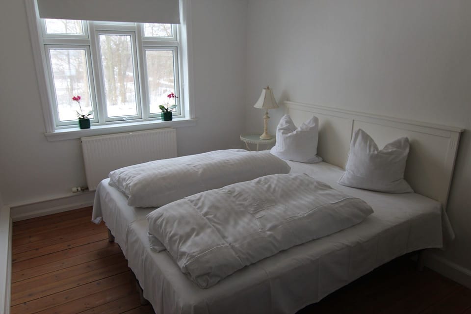 Standard Double Room, Shared Bathroom | Minibar, blackout drapes, iron/ironing board, free WiFi