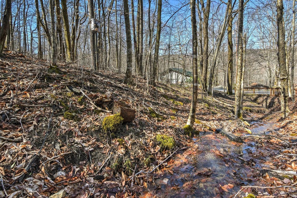 On-Site Creek