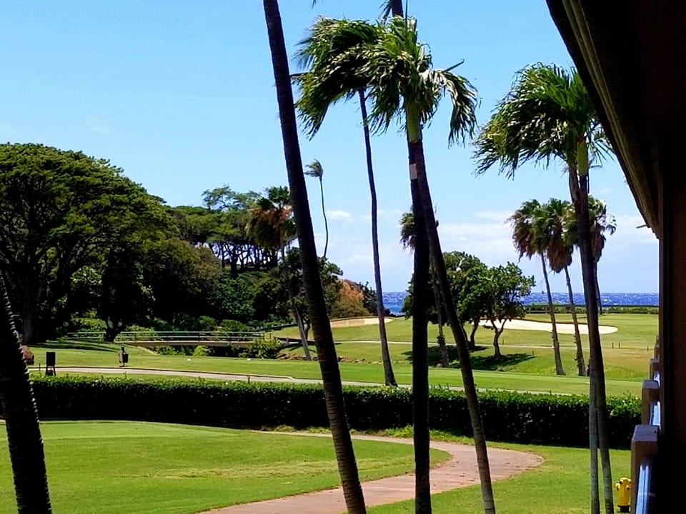 Ocean View from Lanai
