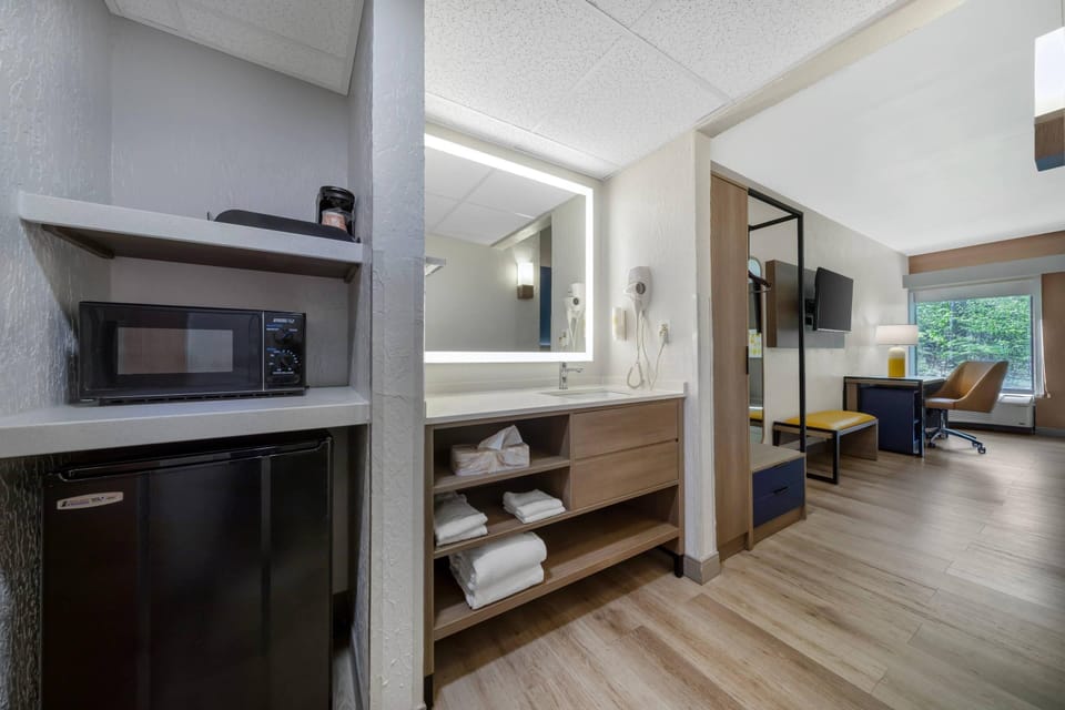 Standard Room, 1 King Bed, Non Smoking | Desk, laptop workspace, blackout drapes, iron/ironing board
