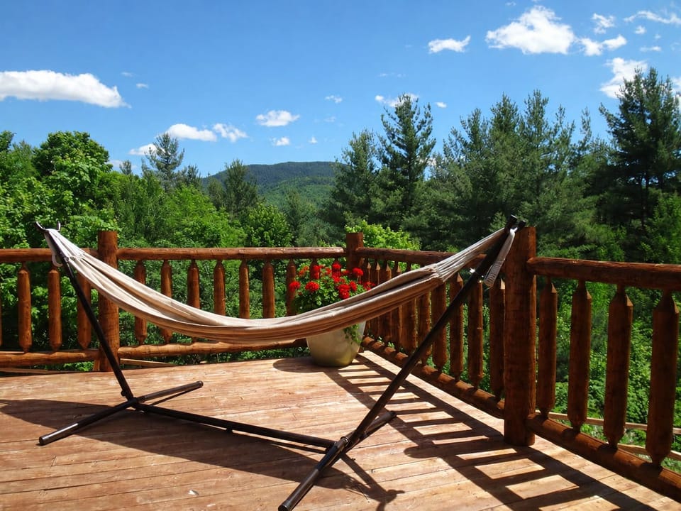 Deck Hammock with Views