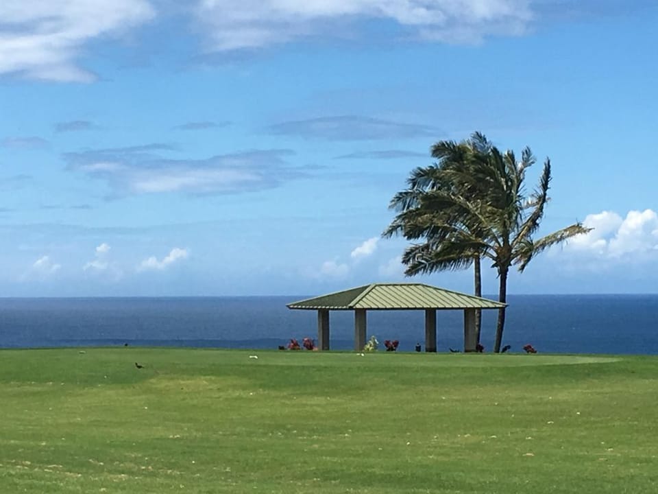 Kamahana grounds - Enjoy the beautiful grounds of Kamahana Condos!