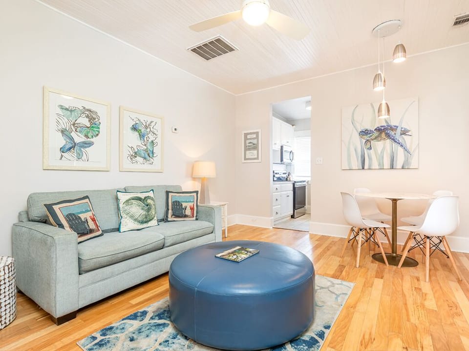 Living Area - Sleeper Sofa