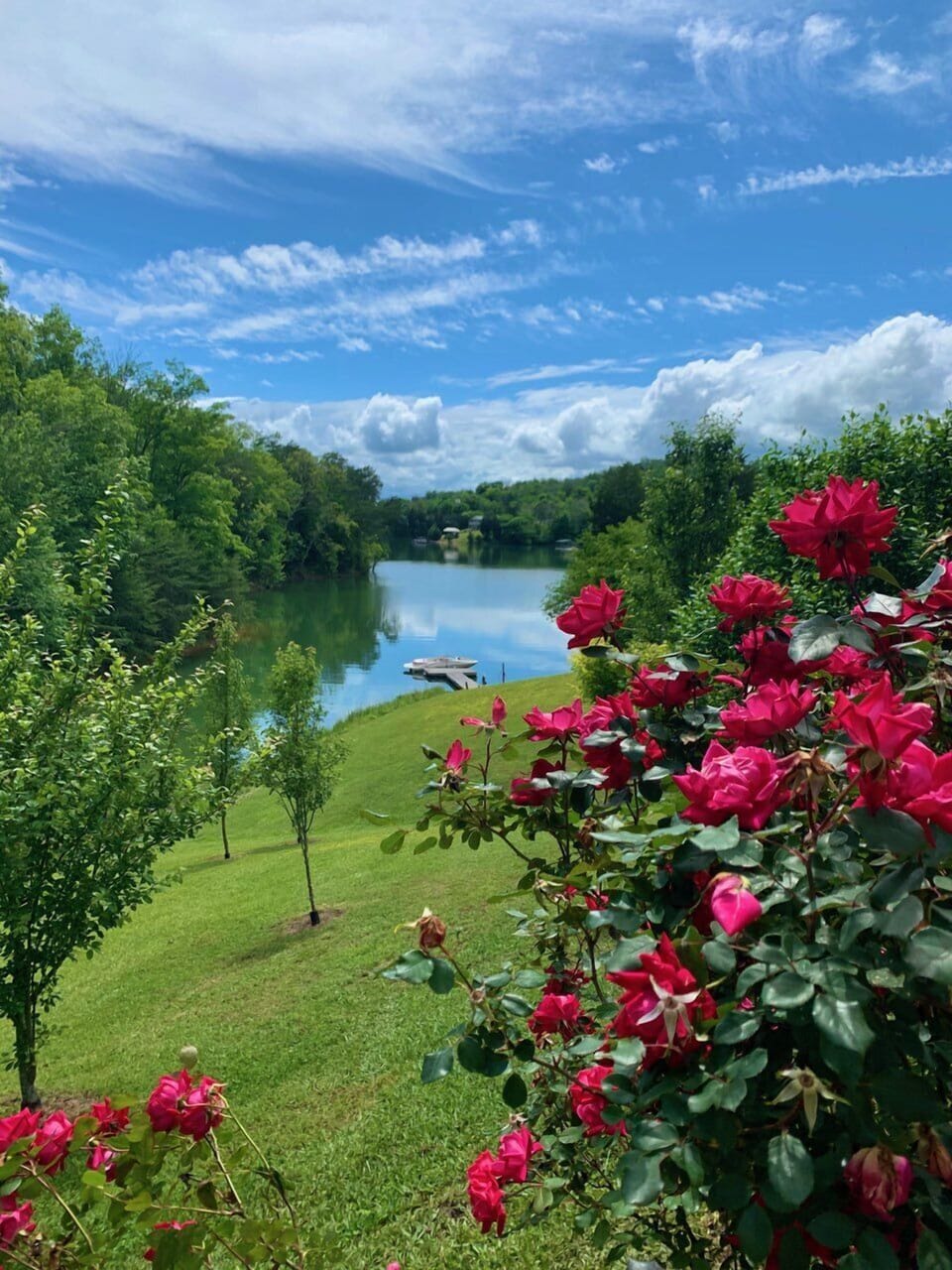 Peaceful cove, great place to dock your boat for the week.