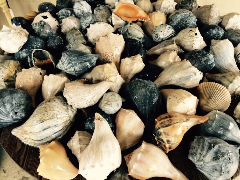 A good day of beach combing