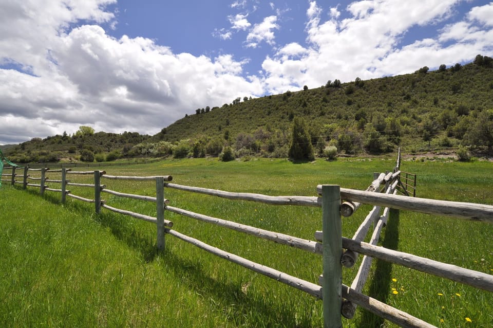 We have endless fields of green.