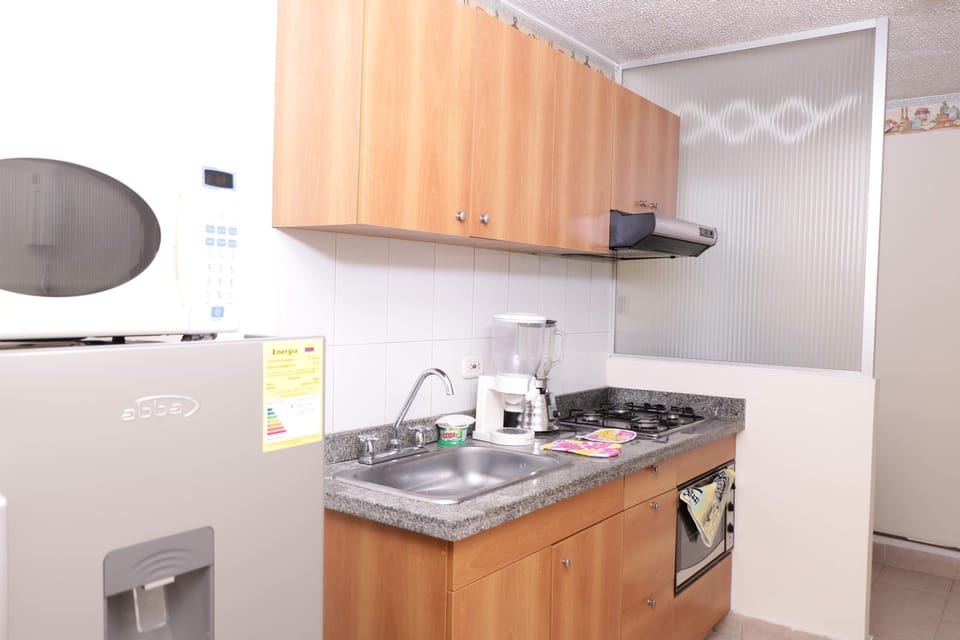 Basic Apartment, 1 Bedroom | Private kitchen | Full-size fridge, microwave, oven, stovetop