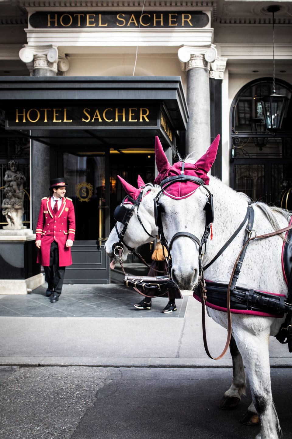 Hotel Sacher Wien Hotel in Vienna