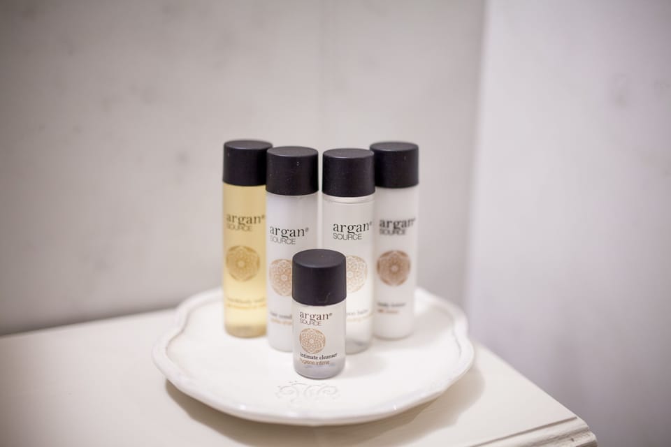 Deluxe Double Room | Bathroom amenities | Shower, rainfall showerhead, free toiletries, hair dryer