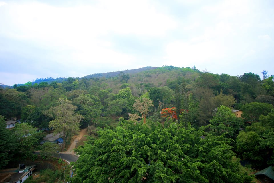 2 Bed Room Family Suite With Balcony | Mountain view