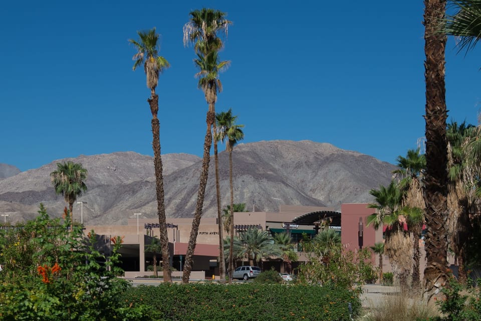 The Garden on El Paseo 