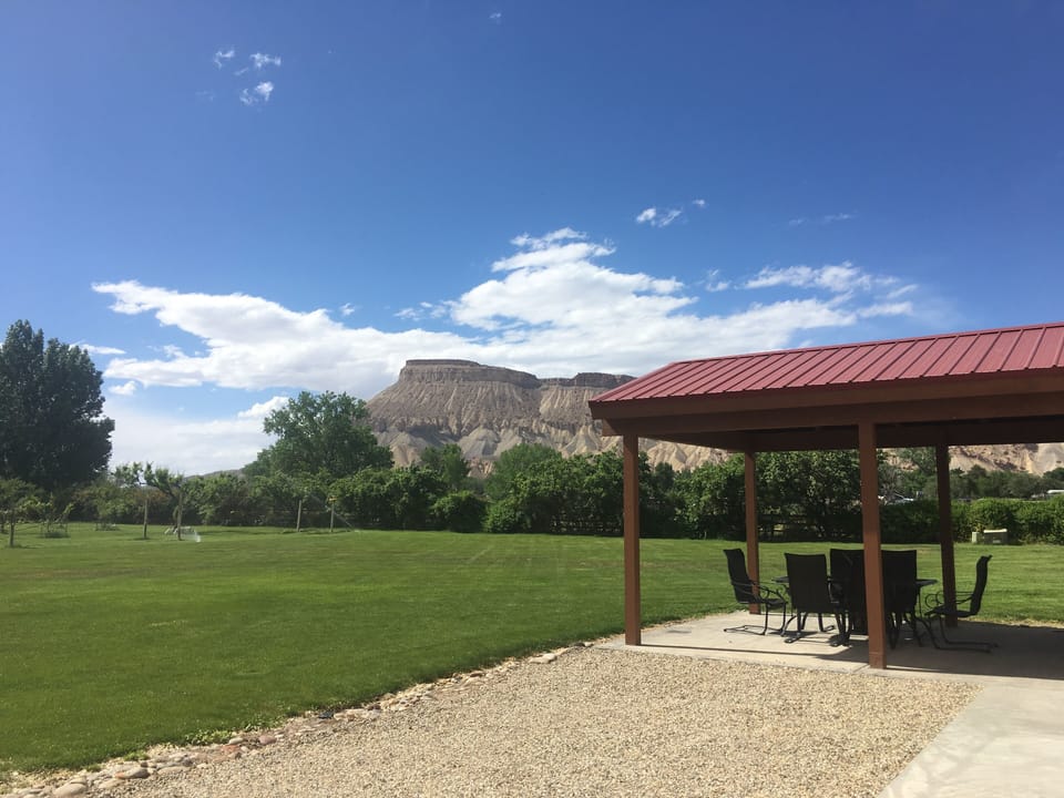 Covered patio and lawn