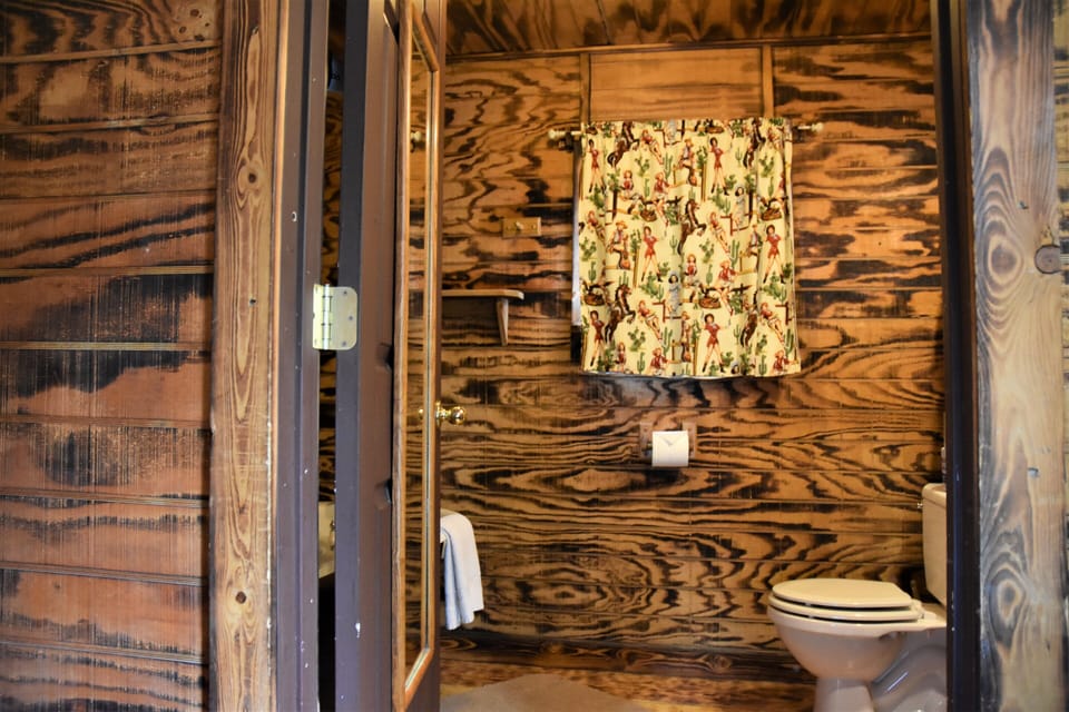Combined shower/tub, free toiletries, hair dryer, towels