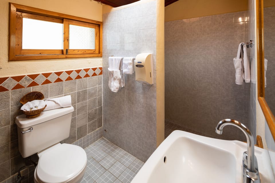 Shower, free toiletries, hair dryer (on request), towels