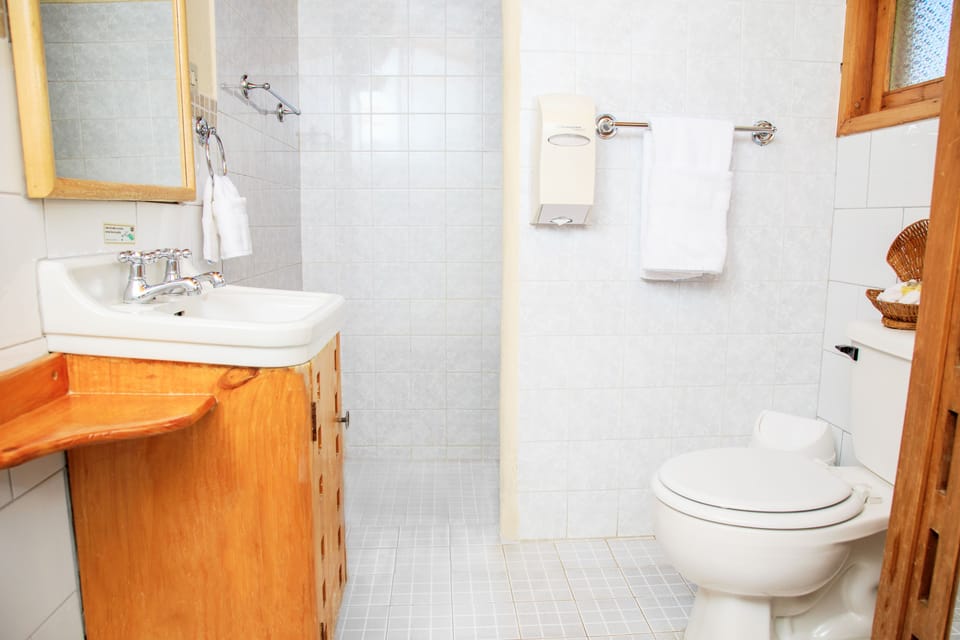 Standard Room | Bathroom | Shower, free toiletries, hair dryer (on request), towels