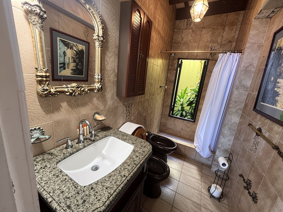 Deluxe Suite | Bathroom | Shower, free toiletries, hair dryer, towels