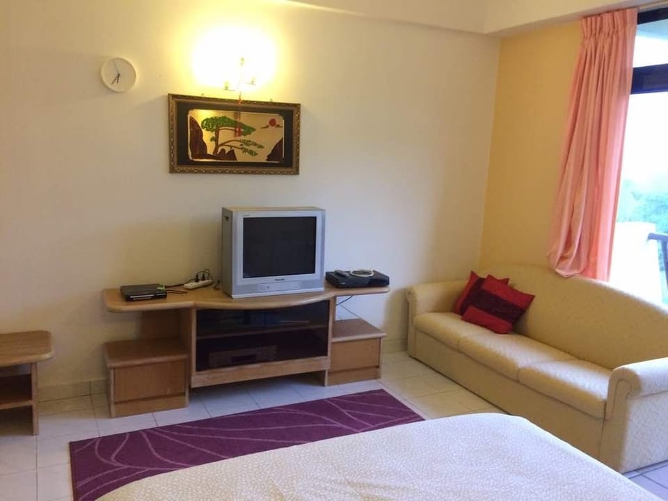 Comfort Apartment, 2 Bedrooms, Hill View | Room amenity