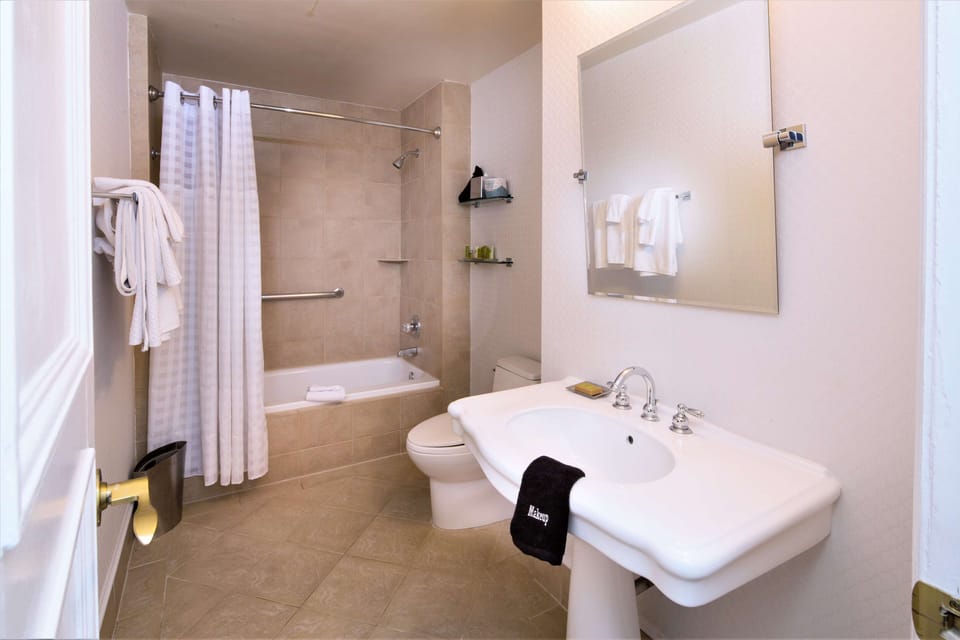 Room, 1 King Bed | Bathroom | Designer toiletries, hair dryer, towels