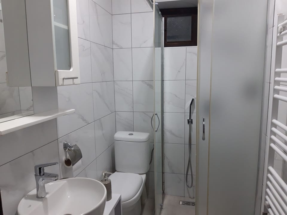 Separate tub and shower, hair dryer