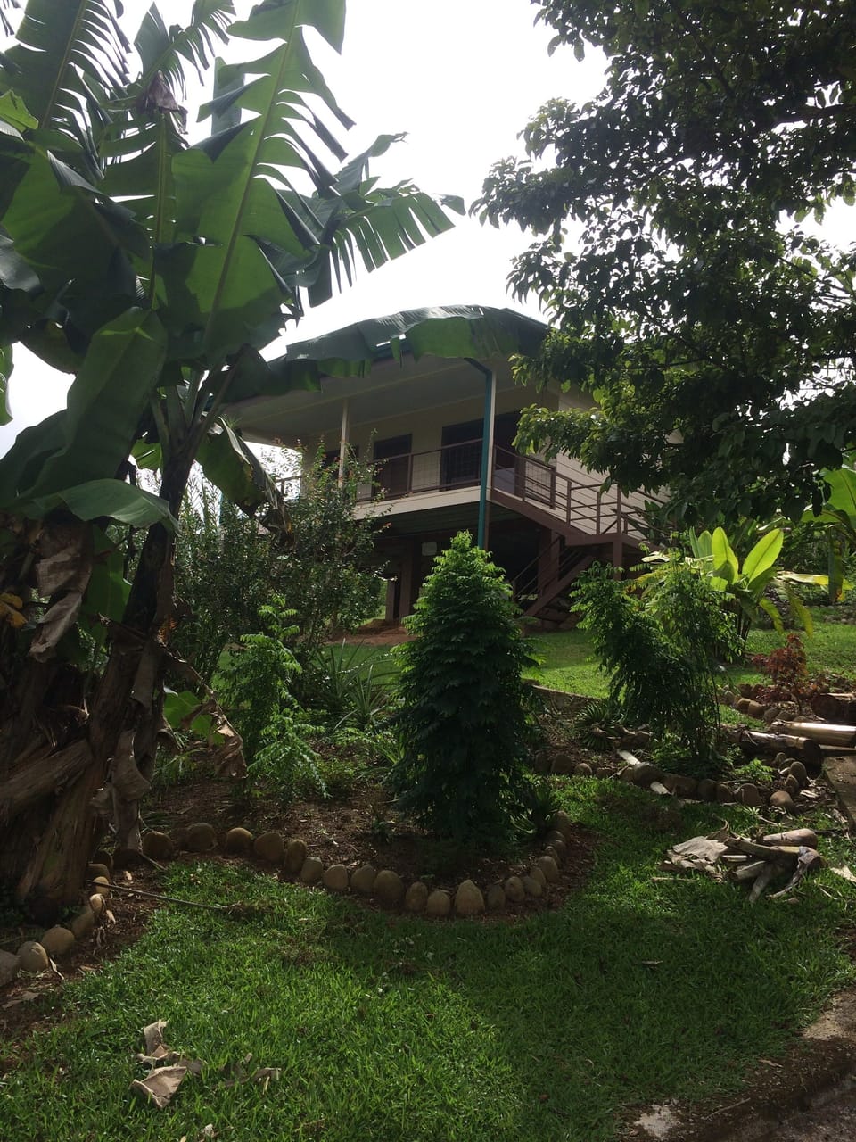 This bungalow is surrounded by edible and medicinal plants.