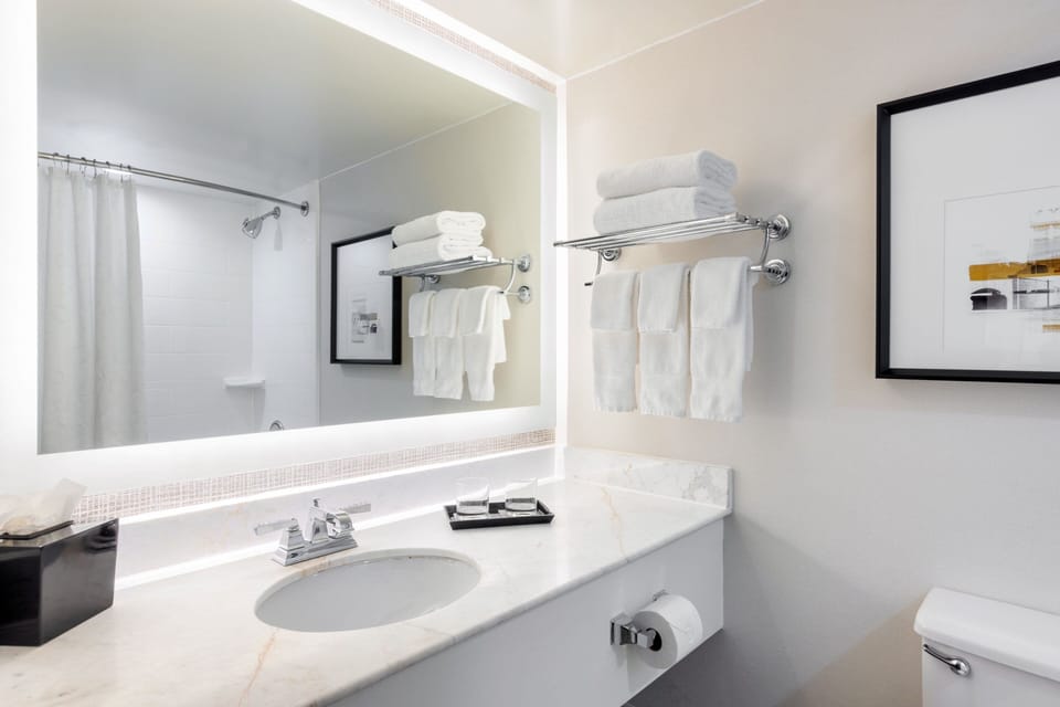 Combined shower/tub, free toiletries, hair dryer, towels