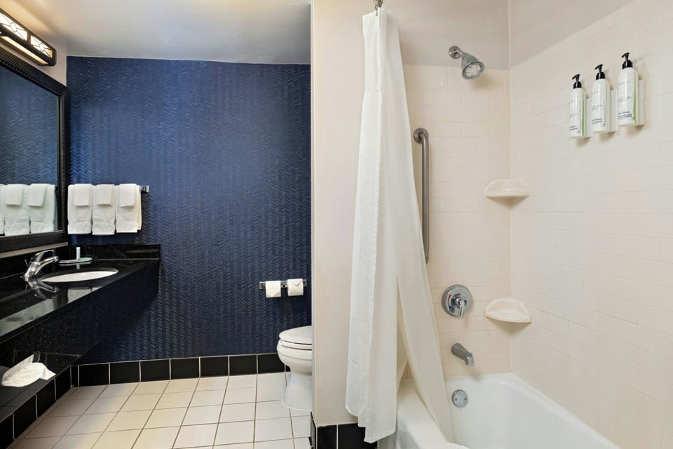 Combined shower/tub, free toiletries, hair dryer, towels