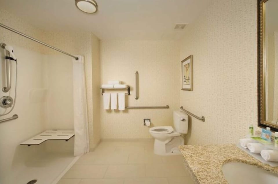 Standard Room, 1 King Bed, Roll-in Shower (Communications Accessible) | Bathroom | Combined shower/tub, free toiletries, hair dryer, towels