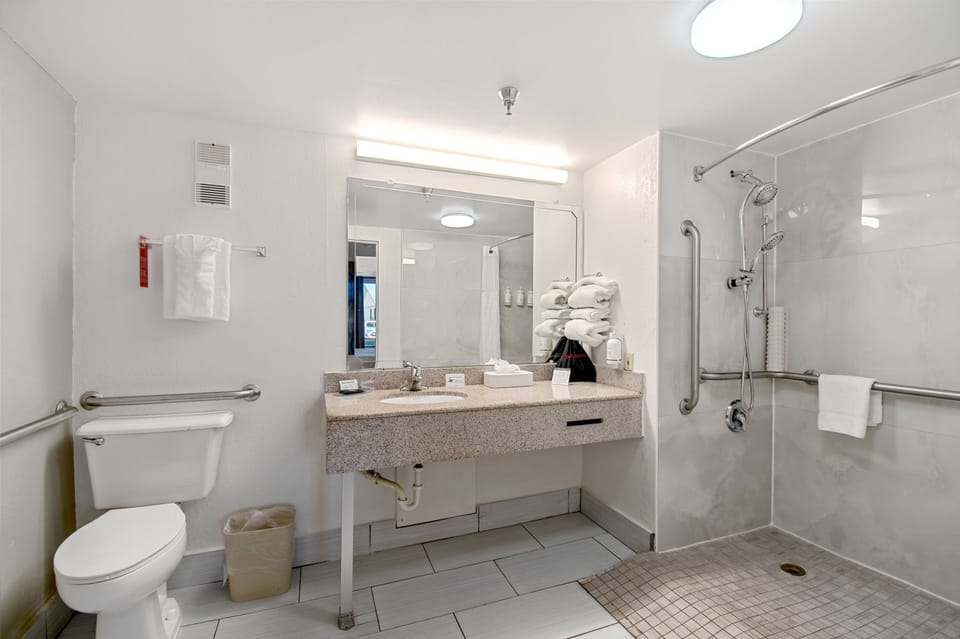 Room, 1 Queen Bed, Accessible, Non Smoking (Roll-In Shower) | Bathroom | Combined shower/tub, free toiletries, hair dryer, towels