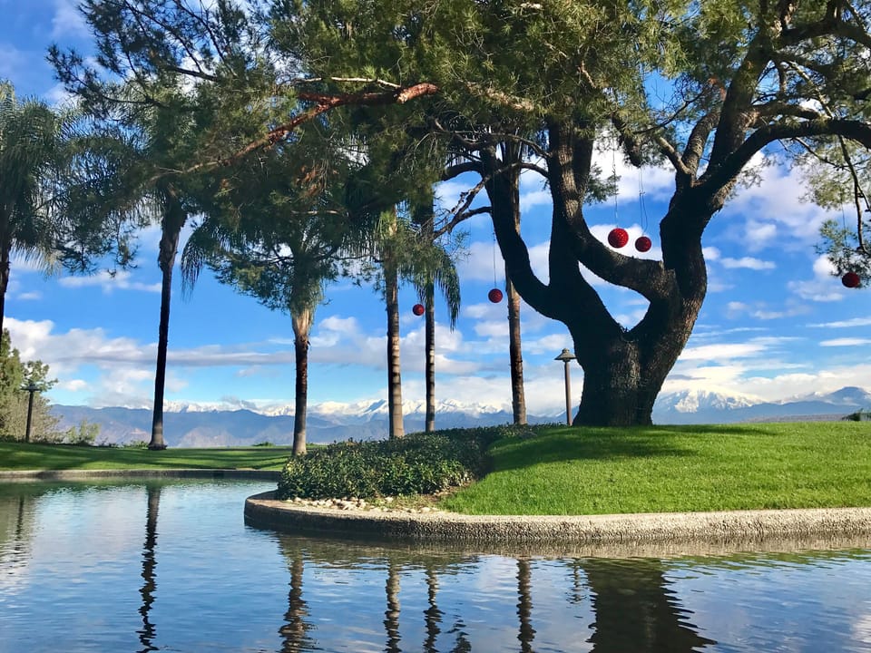 View from property
