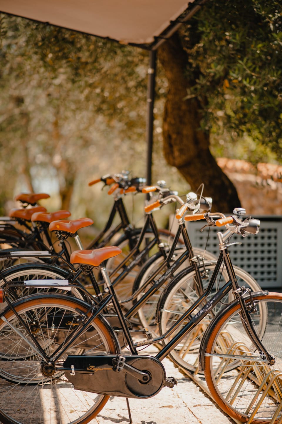 Bicycling