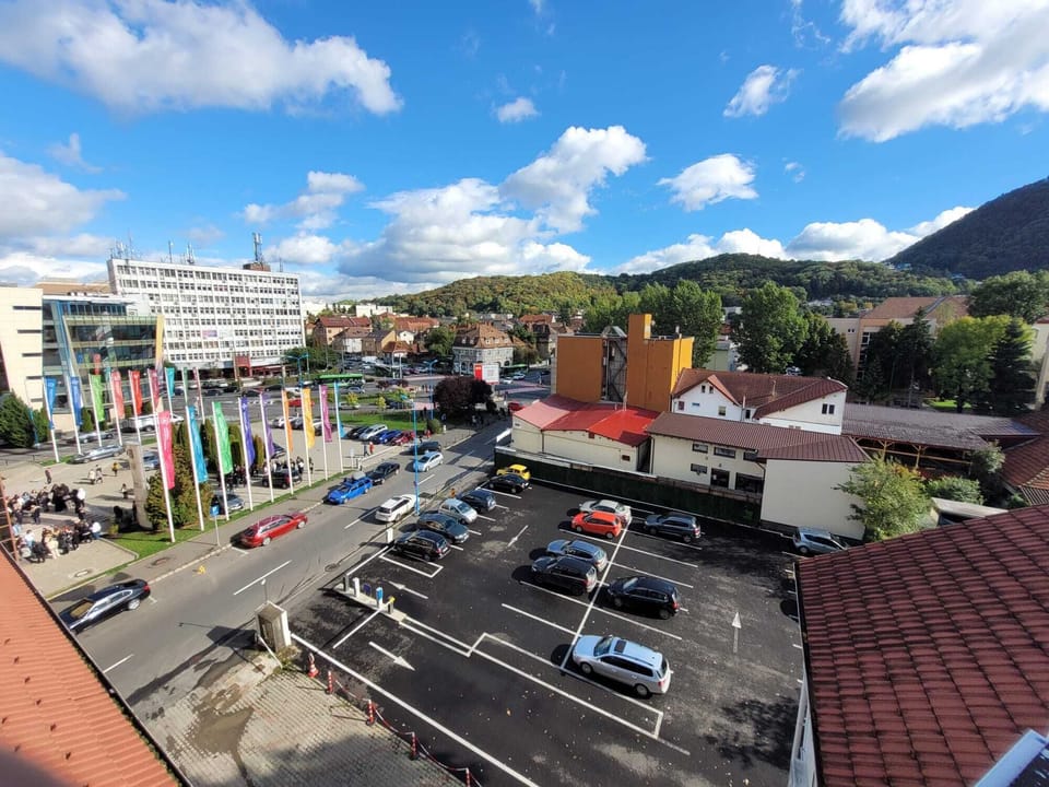 Park view