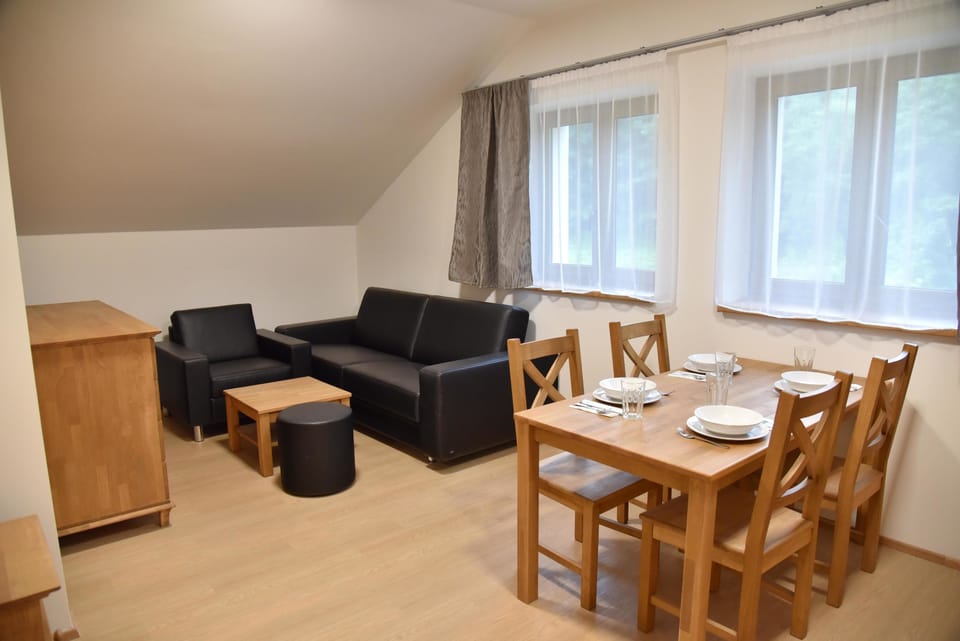 Executive Apartment, 1 Bedroom, Kitchen | Living area | Flat-screen TV