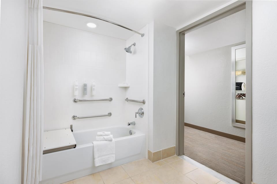 Room, 1 King Bed, Accessible, Non Smoking | Bathroom shower