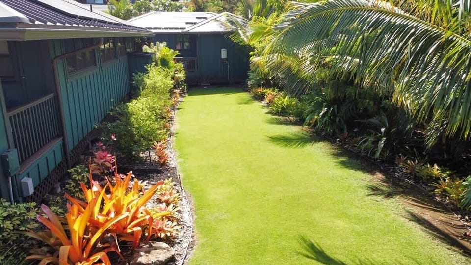 lawn space 
