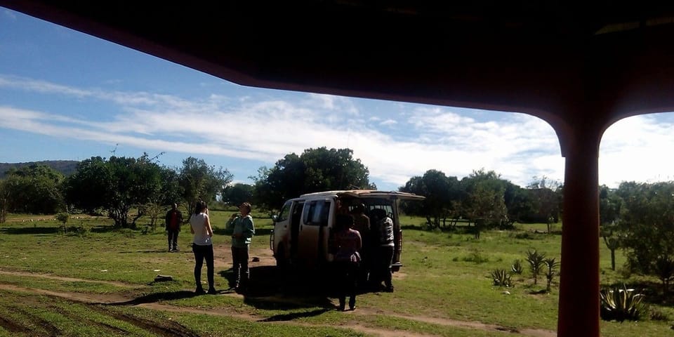 View from property