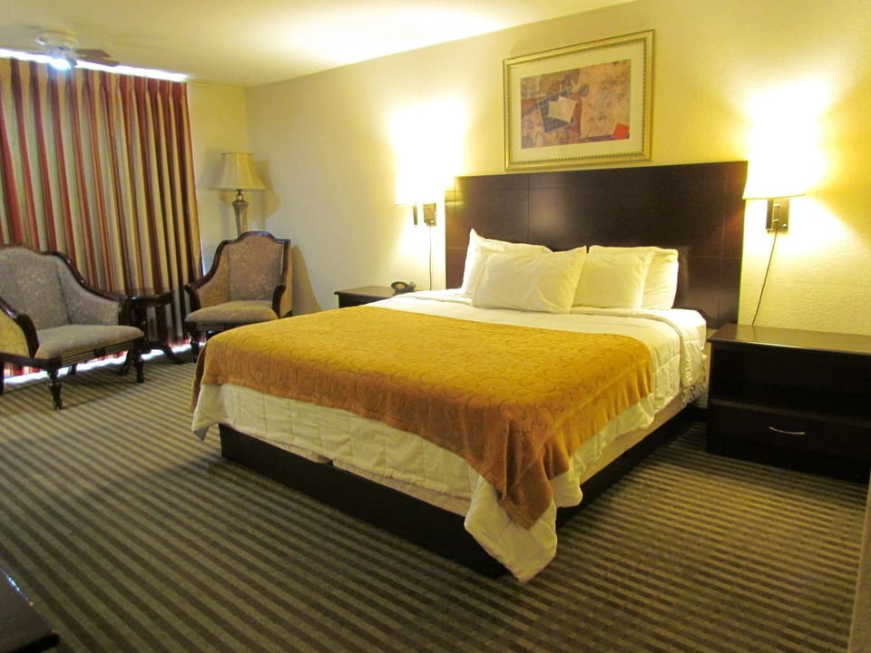 Single Room, 1 King Bed | Desk, blackout drapes, iron/ironing board, rollaway beds