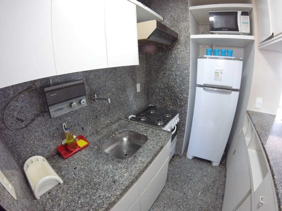 Basic Apartment | Private kitchenette | Fridge, microwave, cookware/dishes/utensils