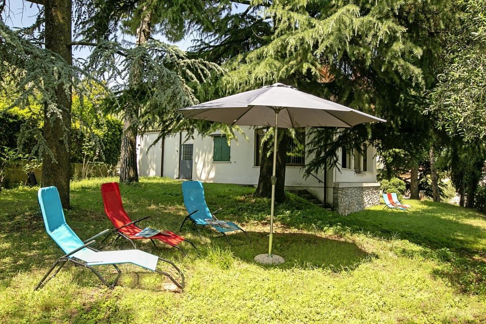 The garden with sunbeds