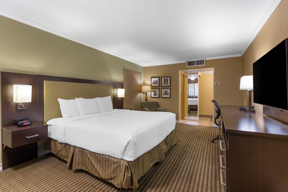 Basic Single Room | Desk, blackout drapes, iron/ironing board, free WiFi